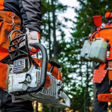 Motosierra STIHL en trabajo forestal – Bosque Agro & Jardines Cuenca