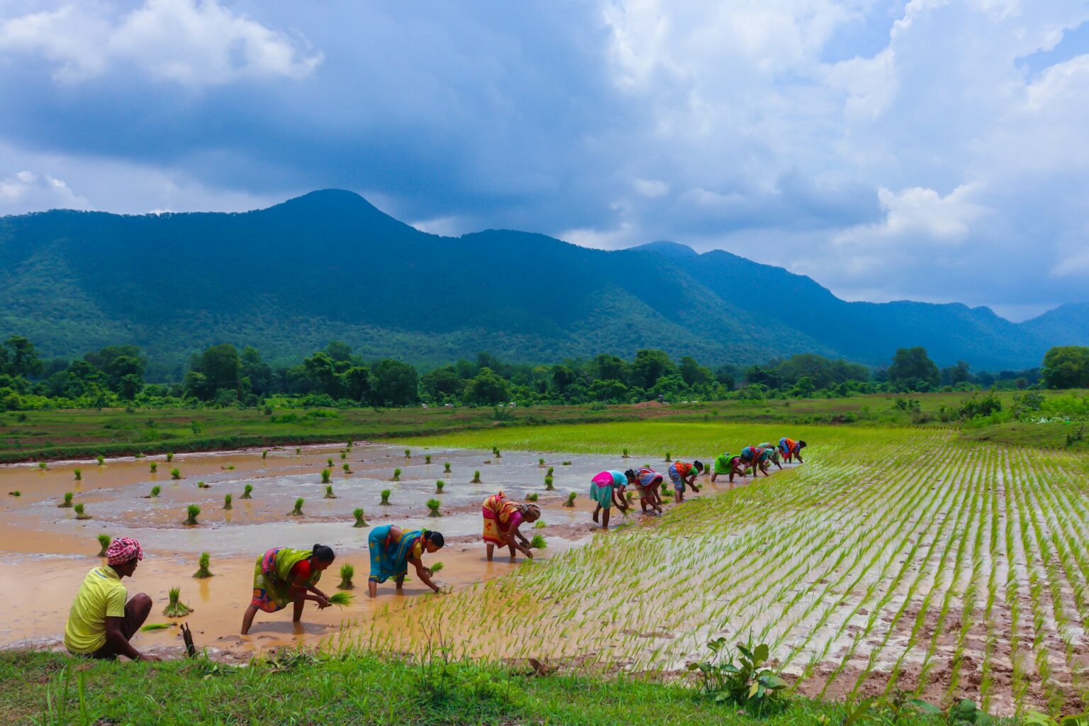 Agricultores trabajando en un campo con montañas al fondo