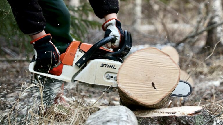 ¿Qué motosierra STIHL comprar? Guía según tu trabajo (2026)
